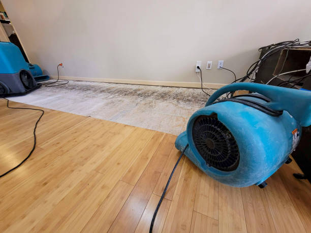Professional Flood Damage Cleanup technician working in Bloomingburg, OH
